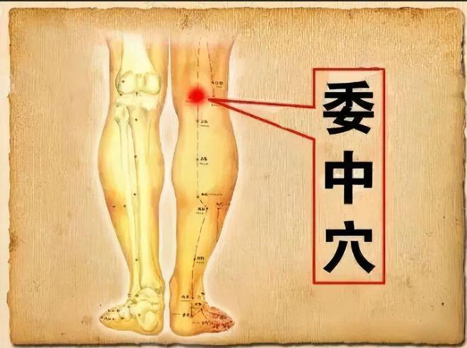 这个穴位堪称腰的“喇叭”腰有问题一按就痛对照按按(图3)