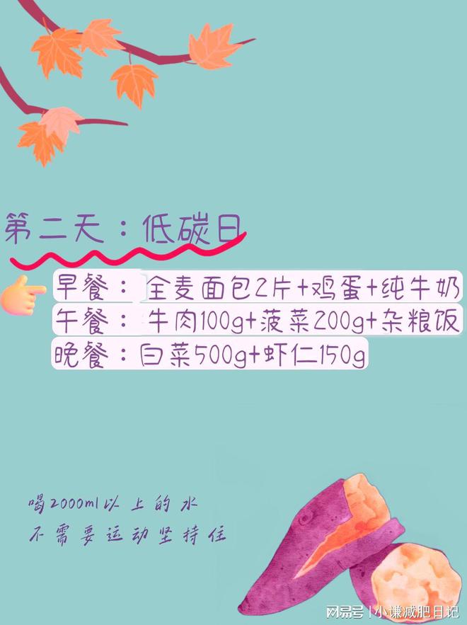 秋冬季节是减肥的黄金期王炸碳循环减肥法(图3)