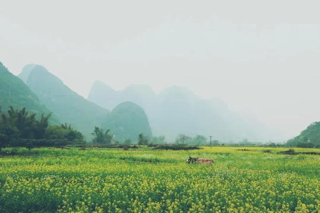 落叶才知秋落难才知友！(图3)