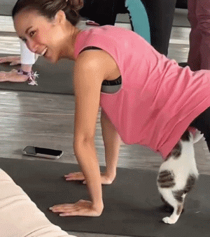 妹纸选了一家有猫老师的瑜伽课猫竟这样动手动脚网友：道德呢？地址呢？(图2)