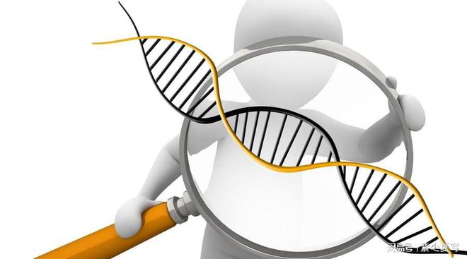 锻炼的科学与益处(图1)