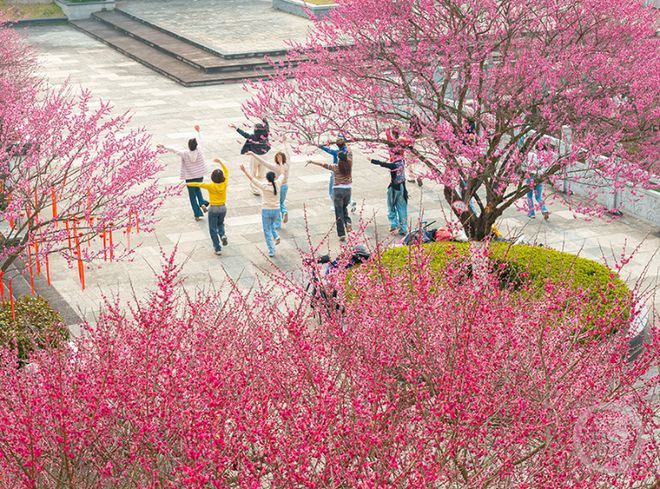 春暖花开时节市民乐享健康生活新风尚(图2)