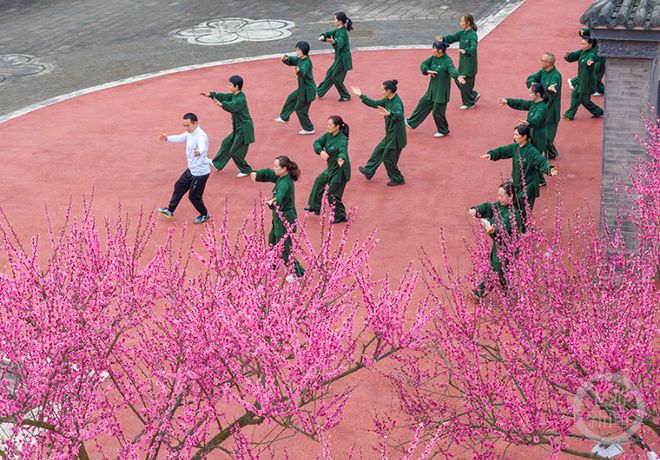 春暖花开时节市民乐享健康生活新风尚(图3)