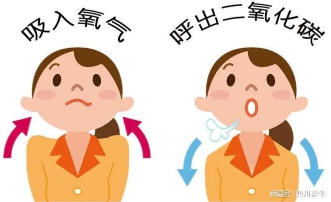 轻松几步守护心血管：每日简易运动有效降低风险20%！(图2)