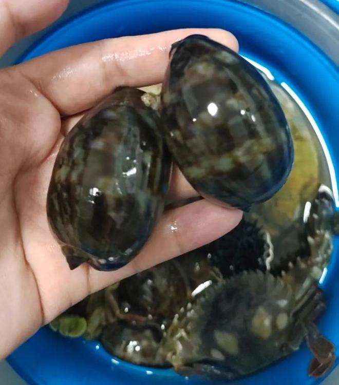 越山向海：登最高的山赶最浪的海(图4)
