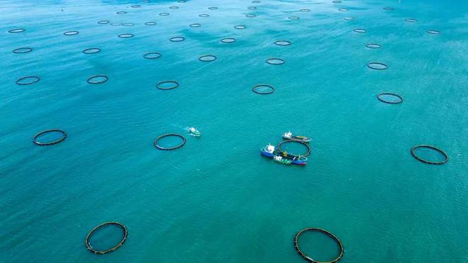 越山向海：登最高的山赶最浪的海(图6)