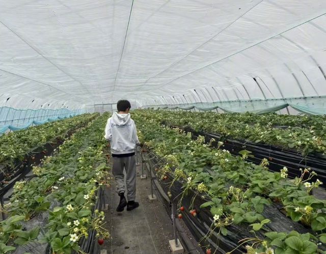 邓超孙俪一家F1观赛10岁小花戴耳钉墨镜超会打扮兄妹都好惹眼(图7)
