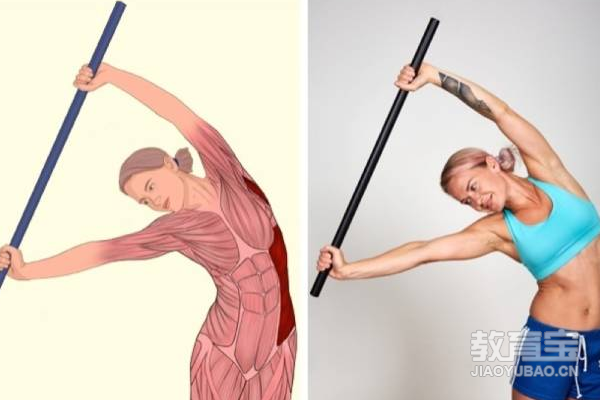 高清瑜伽体式解剖图精确科学拉伸很重要(图2)