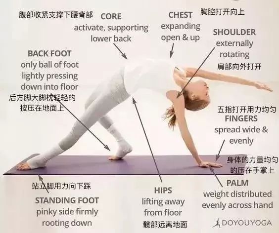 16个瑜伽体式正误对比图：超详细瑜伽正误对比图人不可错过！(图3)