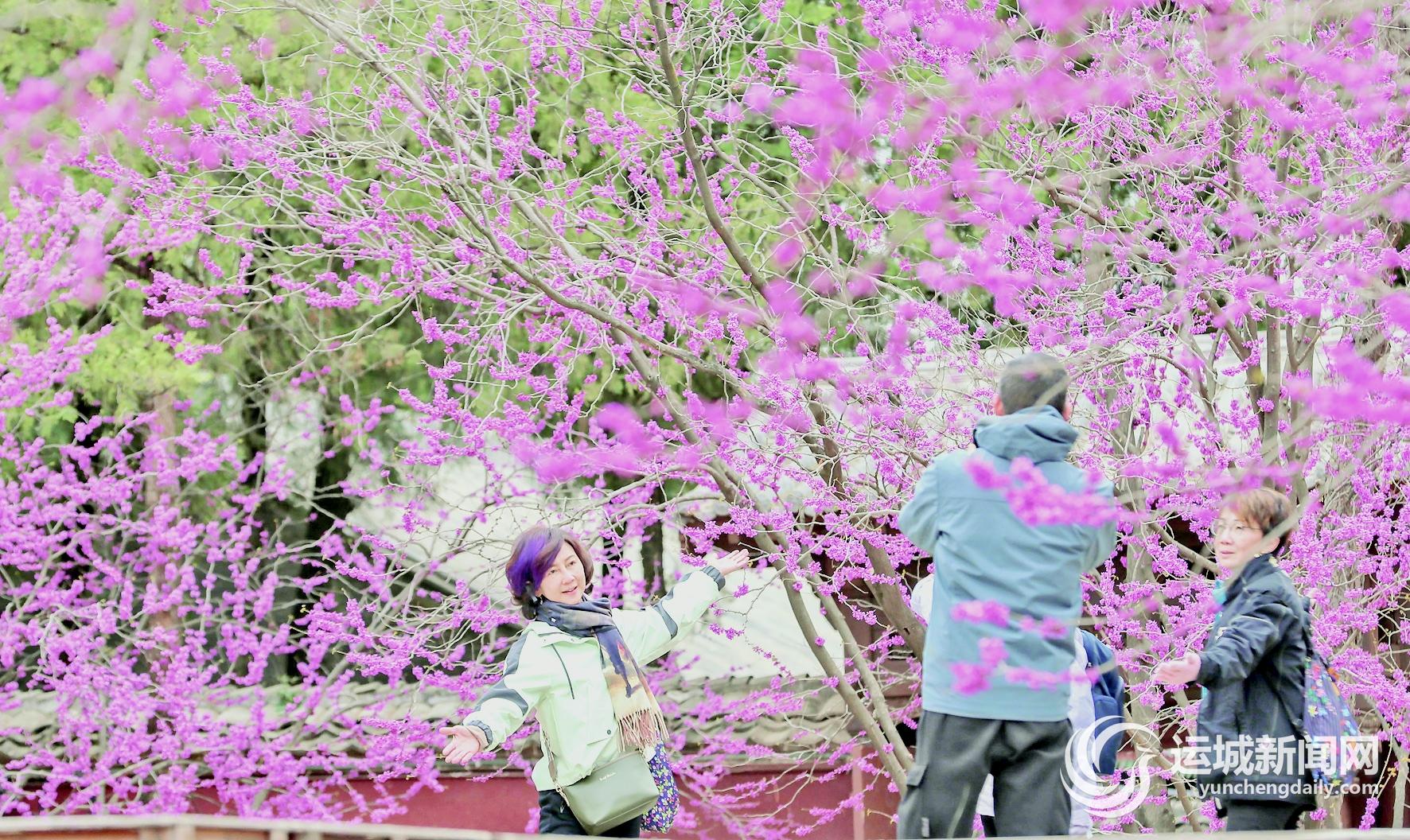我市4月文旅活动“上新”——解锁春日游玩新热潮(图1)