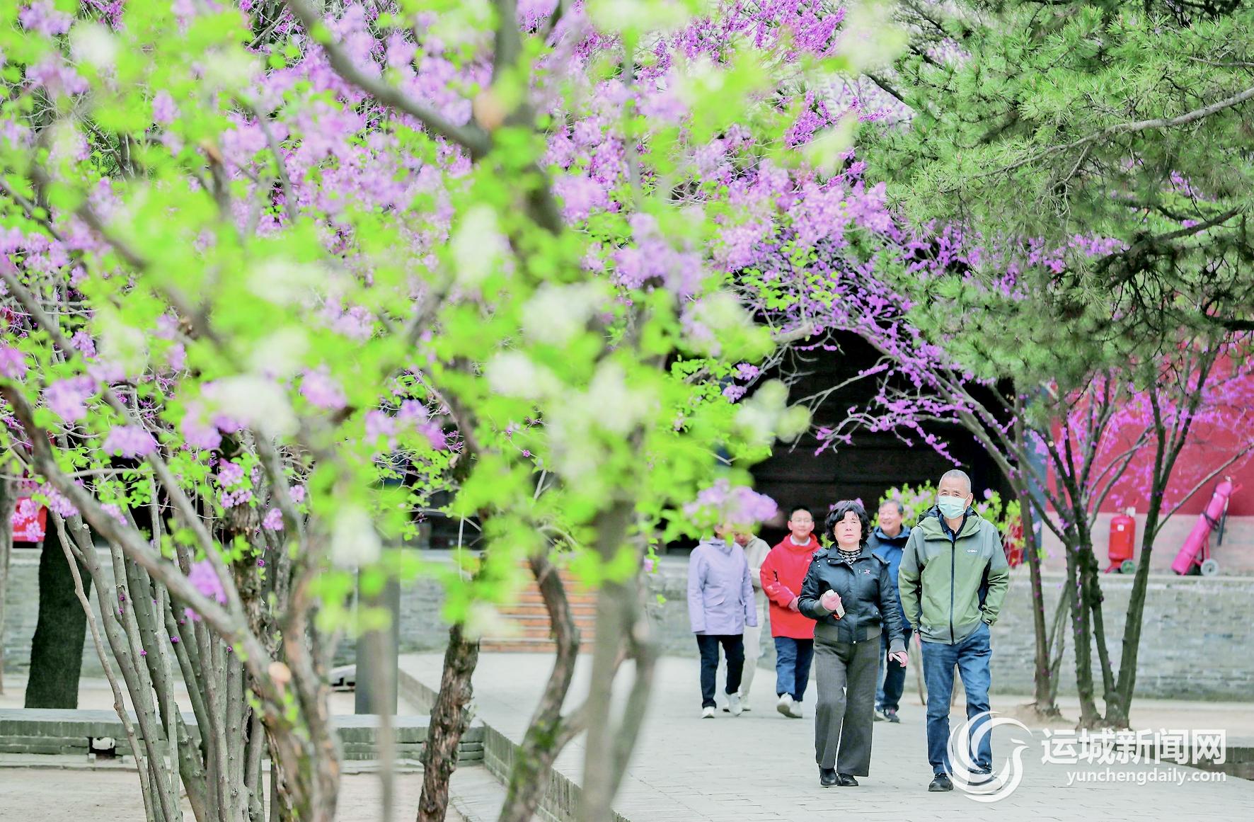 我市4月文旅活动“上新”——解锁春日游玩新热潮(图2)