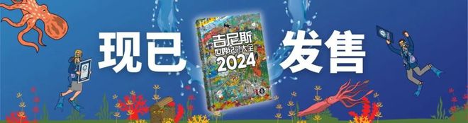 盘一盘印度人最喜欢的吉尼斯纪录(图5)