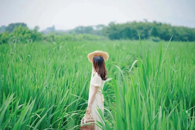 最高级的养生：运动、赚钱、独处(图1)
