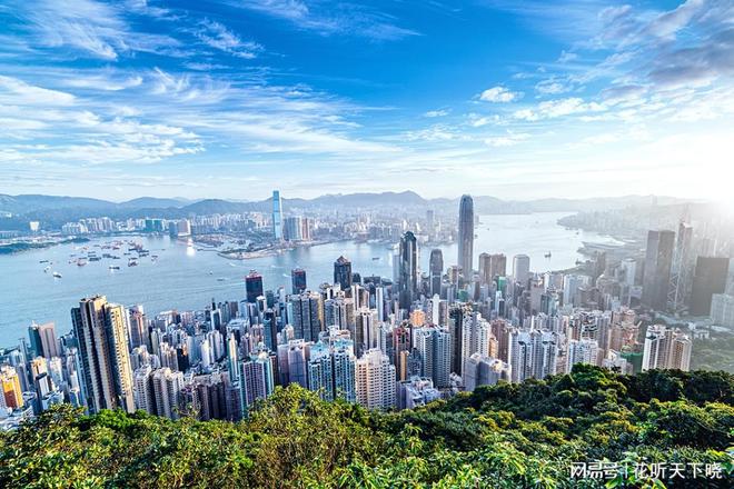 香港高才通A类移民全攻略：企业家无学历限制可落户香港永居身份(图4)