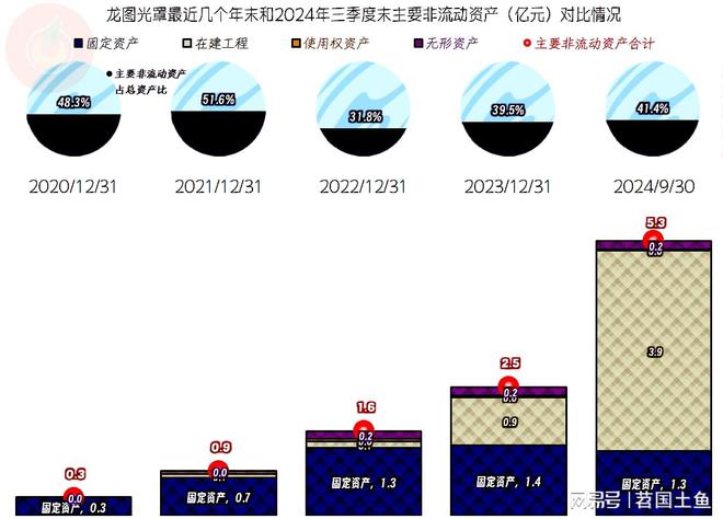 龙图光罩2024年增长变慢后续就看在建项目投产后的市场表现了(图8)
