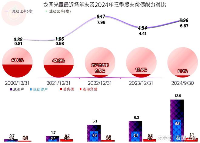 龙图光罩2024年增长变慢后续就看在建项目投产后的市场表现了(图9)