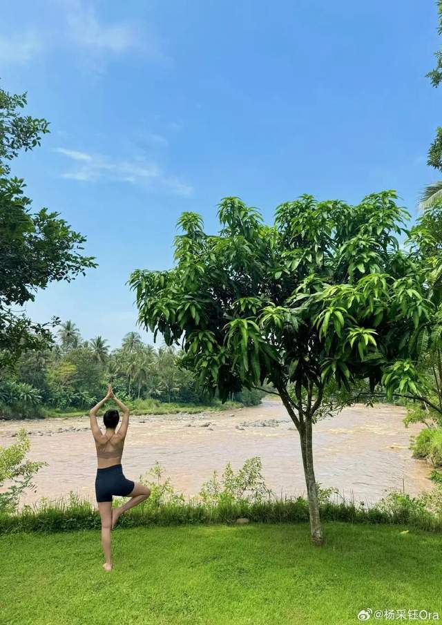 杨采钰晒孕期美照！素颜韵味十足坚持瑜伽锻炼纤细得让人羡慕(图7)