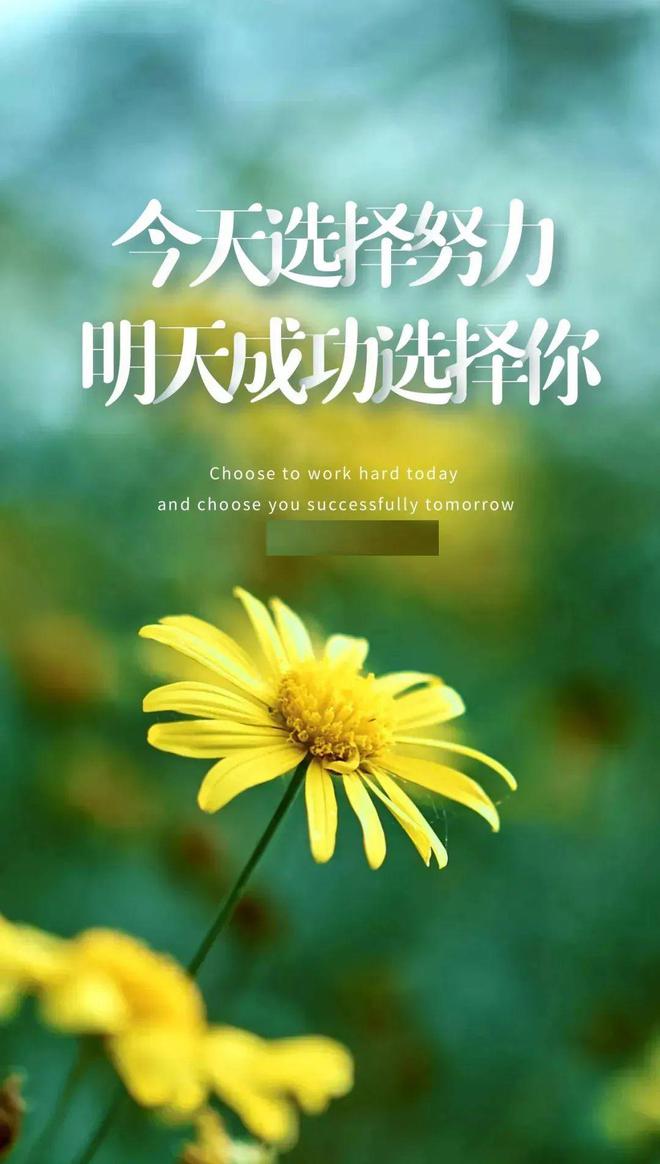 早安正能量绚丽多彩的经典语录努力就能遇见更好的自己！(图2)