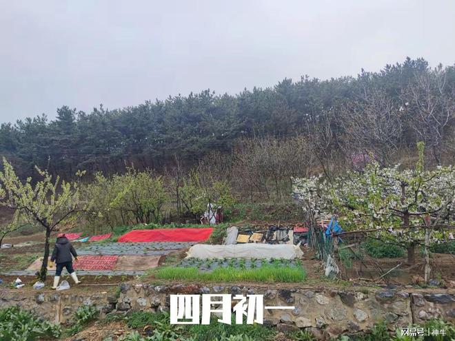 今日四月初一记得夏初的4个忌讳：1不练、2不睡、3不晚、4不吃(图1)