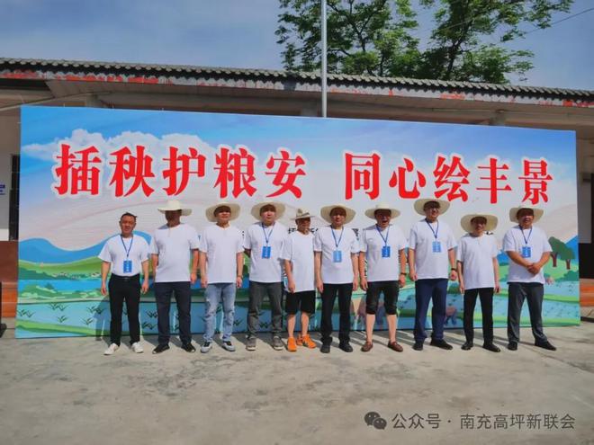 南充龙门举办“插秧节”(图2)