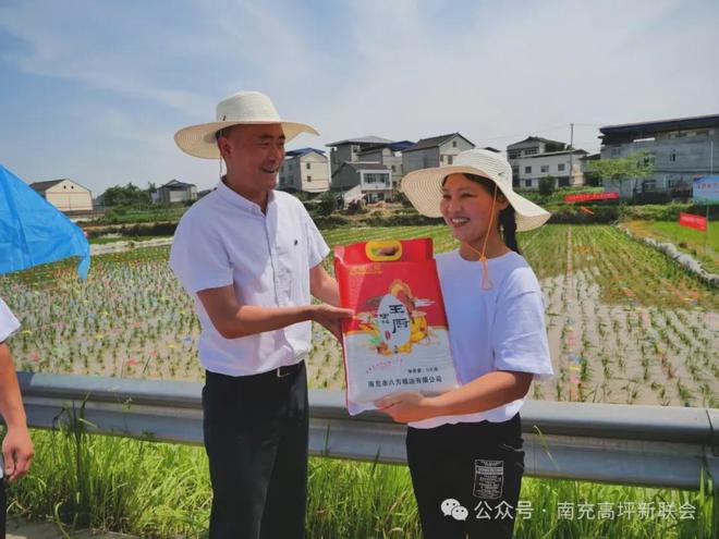 南充龙门举办“插秧节”(图4)
