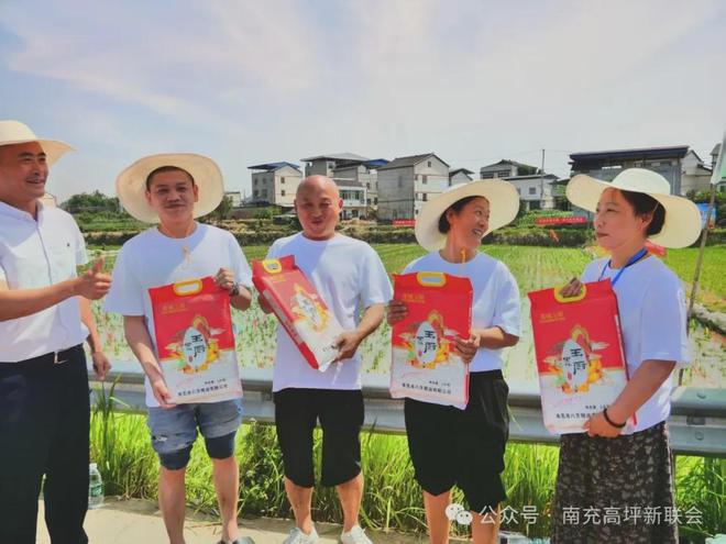 南充龙门举办“插秧节”(图5)