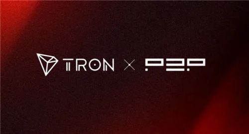 波场TRON生态版图扩张孙宇晨部署P2Porg节点网络基础设施(图2)