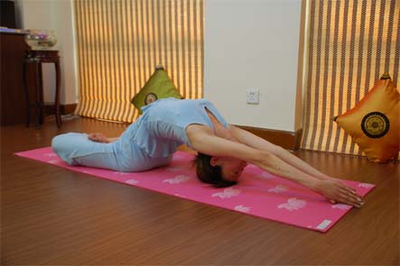 经典瑜伽动作练习分享瑜伽体式(图1)