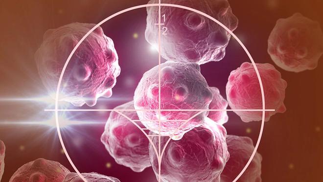 小细胞肺癌全身转移！放化疗+中药双管齐下病灶神奇稳定！(图1)