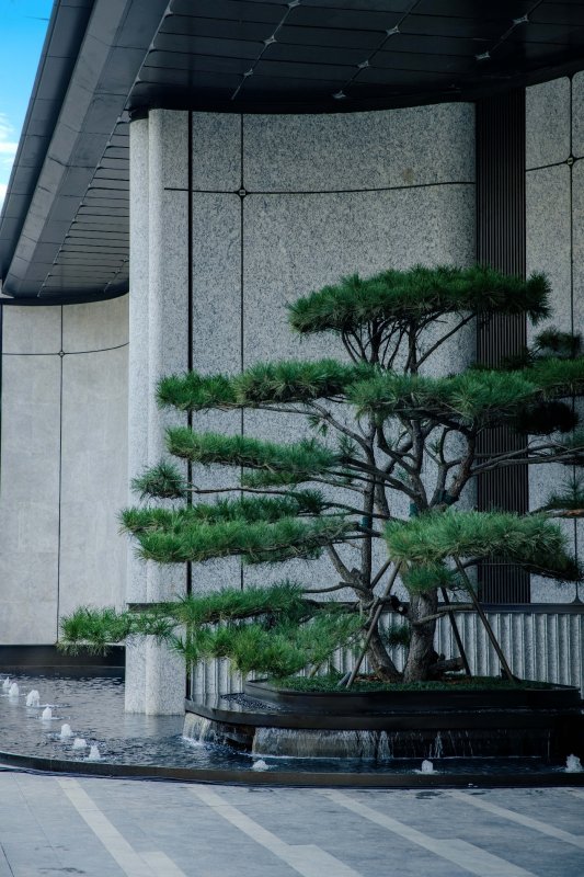 未开先火！龙湖·山河颂实景示范区开放再现现象级热度！(图4)