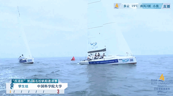 国庆好去处丨从帆船到飞盘活力假期开启“运动狂欢”(图5)