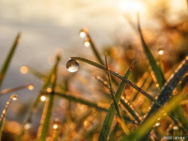 早寒露冻死牛晚寒露穿单衣今日今年冬天会很冷吗？(图3)