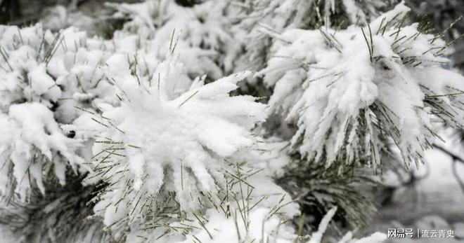 早寒露冻死牛晚寒露穿单衣今日今年冬天会很冷吗？(图6)