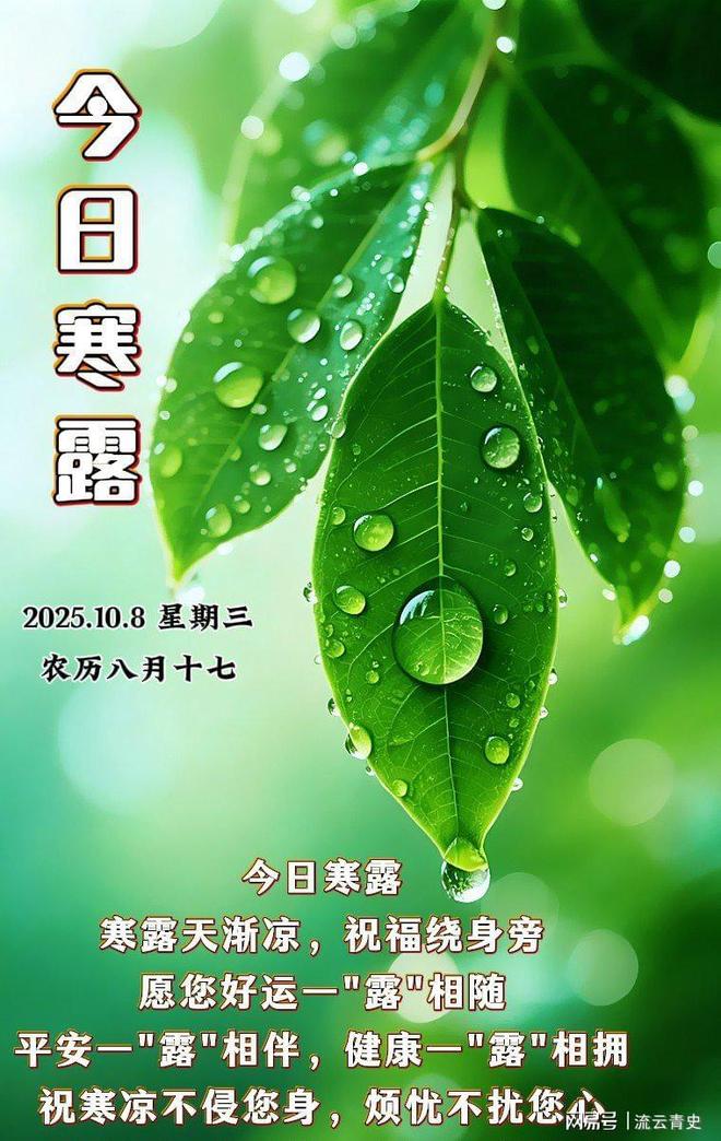 早寒露冻死牛晚寒露穿单衣今日今年冬天会很冷吗？(图11)