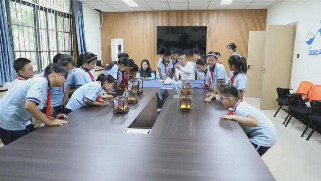 2000场活动、197项服务奎文区把“文化客厅”开进小区(图4)