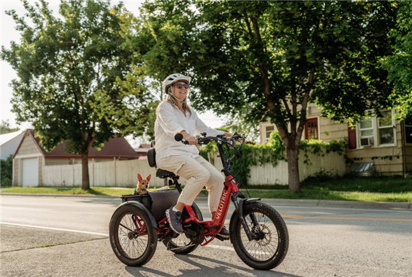 中产爱上万元级电动自行车买出一个千亿美金赛道(图4)