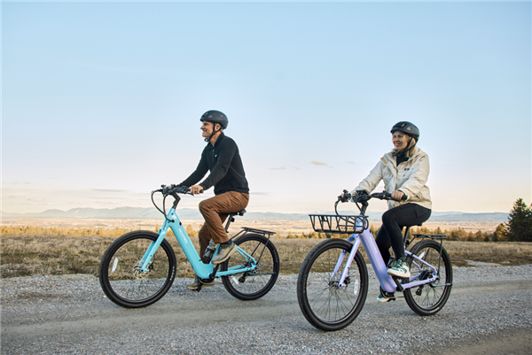 中产爱上万元级电动自行车买出一个千亿美金赛道(图1)