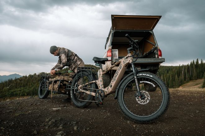 中产爱上万元级「电动自行车」买出一个千亿美金赛道(图3)