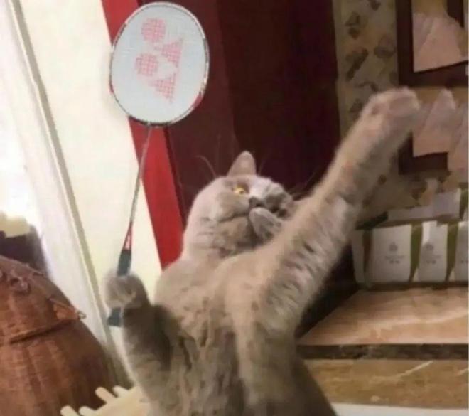 每天2分钟的无效运动可降4成死亡风险?用3种运动换取80%长寿!(图5)