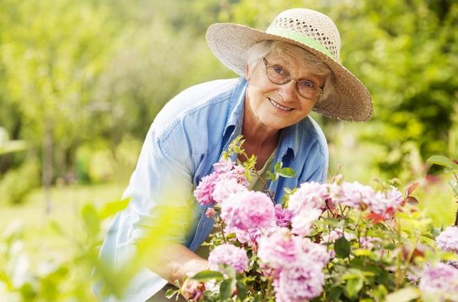 活力长寿秘诀：老年人保持健康的12个关键要素(图1)