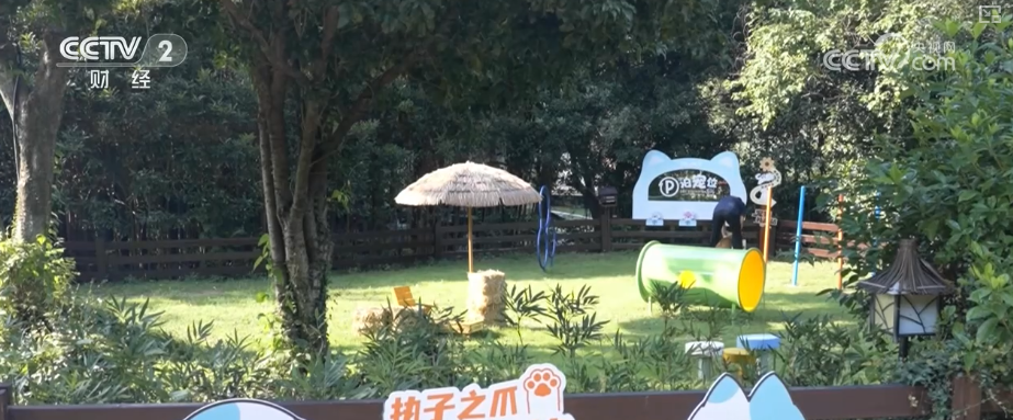 “赛事+”“情绪价值”“品质化”……消费向新而行提质、焕新亮点持续显现(图21)