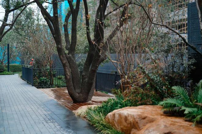 实景盛启!宏星・滨江上院隐翠会所启幕滨江宜居生活引爆豪宅热潮(图15)