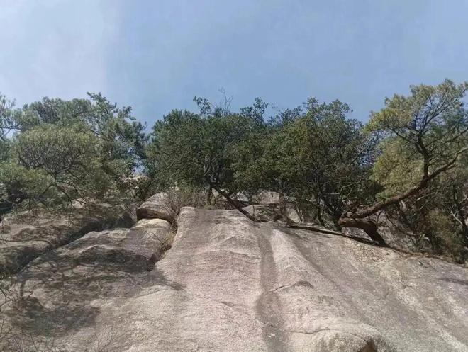 爬鸡峰山的好处让你受益匪浅！(图1)