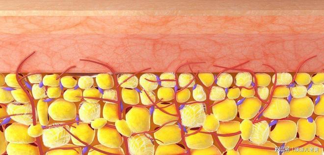 伦敦研究发现：早晨空腹锻炼的人新陈代谢或比他人更高效？(图1)