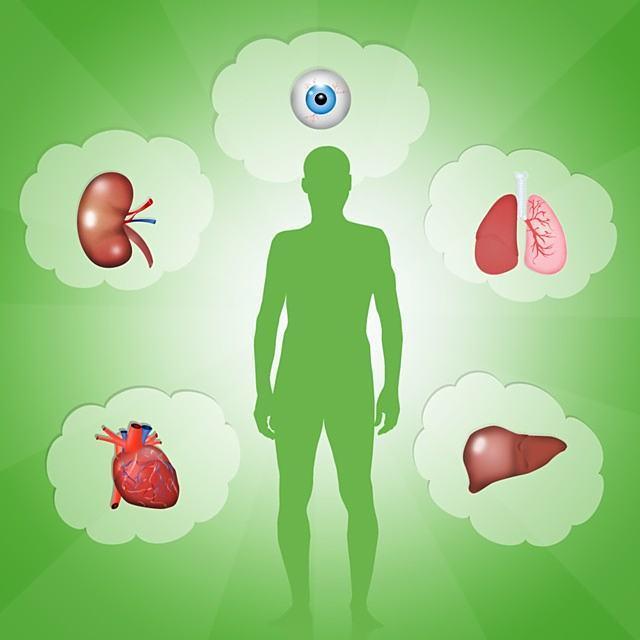 几点入睡最健康？中老年生物钟调节科学依据(图5)
