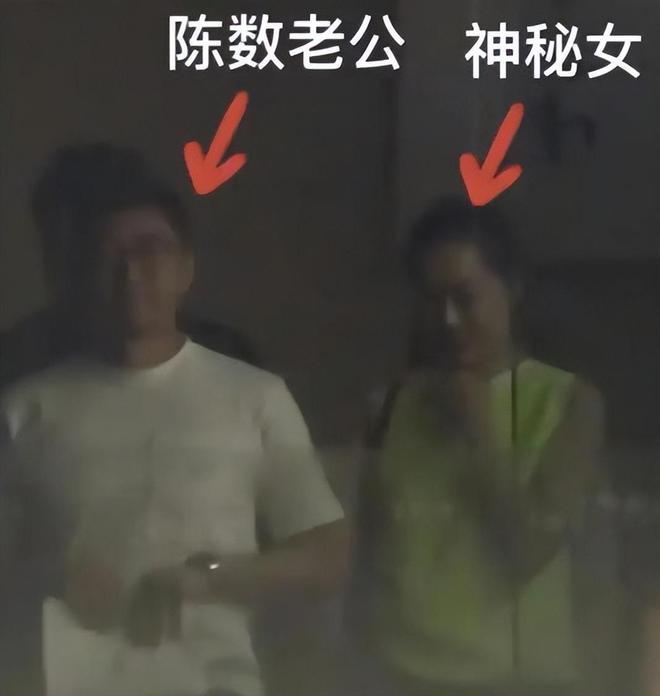 钱再多有什么用?这次陈数的现状给所有已婚未育的人提了个醒(图6)