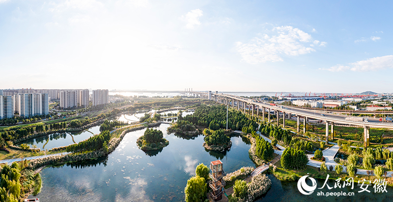 芜湖焕新①朱家桥尾水净化生态公园：有“颜”更有“料”(图1)