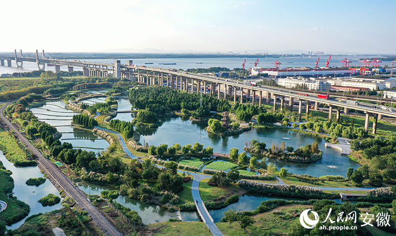 芜湖焕新①朱家桥尾水净化生态公园：有“颜”更有“料”(图3)