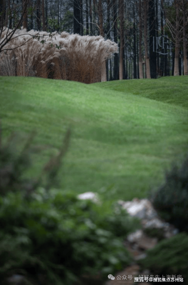 万科四季隐秀(上海)售楼处电话_四季隐秀预约看房_楼盘详情-2025最新房价-户型图售楼处电话_预约看房(图27)