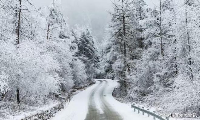 并非迷信！今日元旦牢记：白天做4事、晚上忌2样为2026开好运(图3)